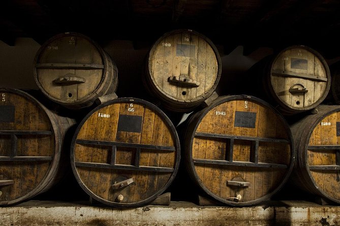 Undurraga Wine Tasting Tour From Santiago - Transportation and Pickup