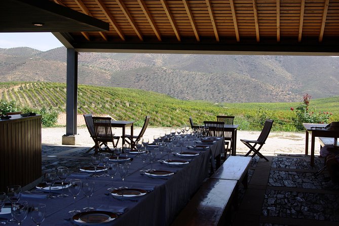 Upper Douro Walk & WineTour - Accessing Coa Valley Engravings