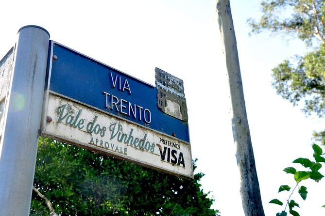 Vale Dos Vinhedos Private Tour From Porto Alegre or Gramado - Optional Stops and Activities