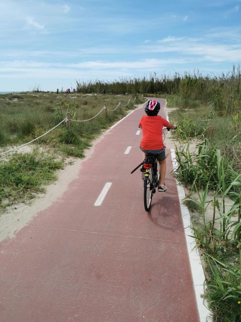 Valencia: Albufera Natural Park Bike and Boat Tour - Itinerary Details