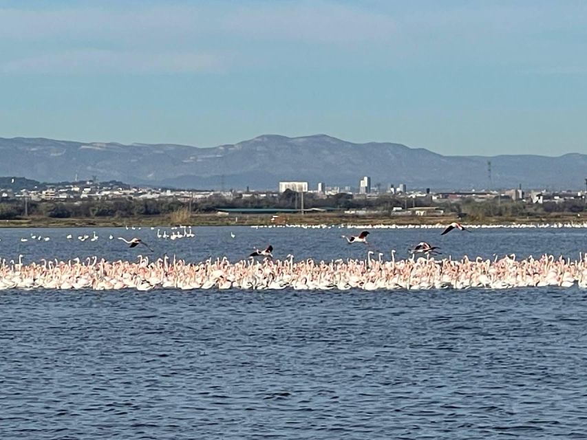 Valencia: The Albufera Lake Self-Guided E-Bike Tour - Tour Experience