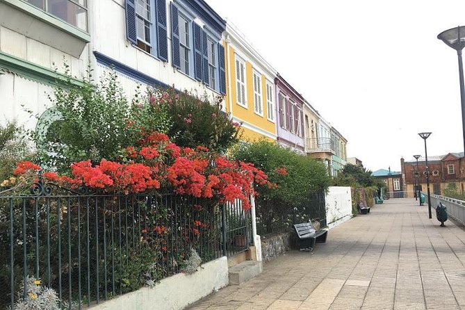 Valparaíso - Viña Del Mar - Company Expertise