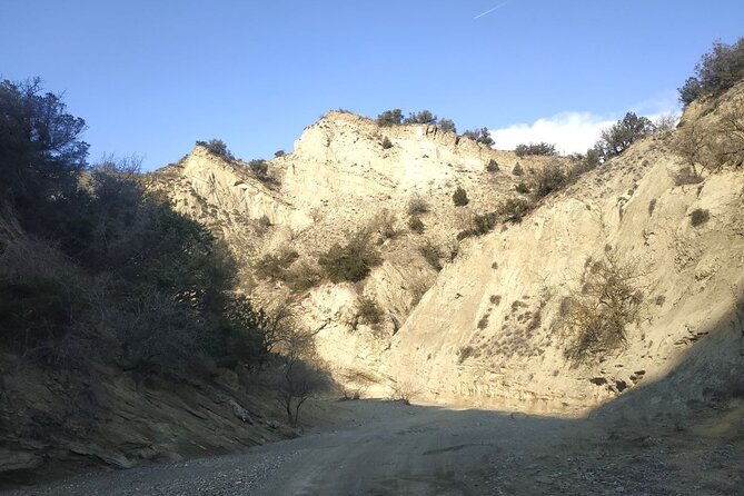 Vashlovani National Park Day Trip From Tbilisi - Booking Details and Policies