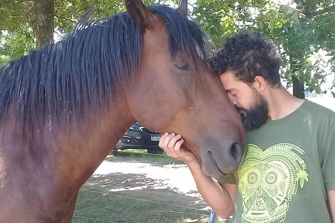 Vibrate Your Horse Heart - Healing With Horses - Transformative Healing Journey