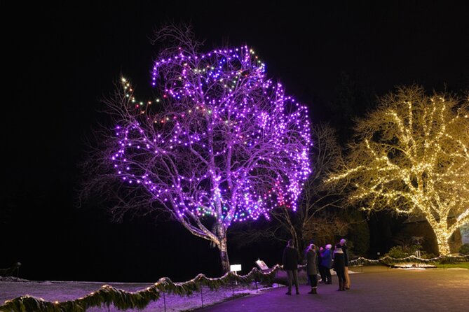 Victoria and Butchart Gardens Christmas Tour - Traveler Feedback and Insights
