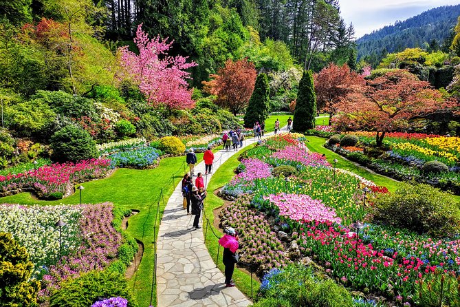 Victoria City and Butchart Gardens Private Half-Day Tour - Customer Reviews and Experiences