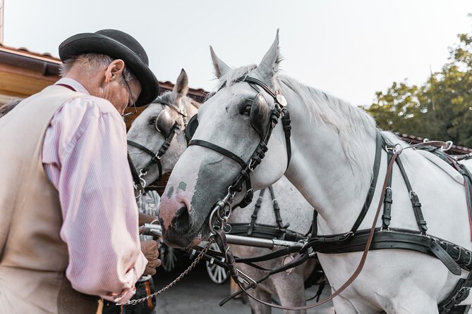 Vienna Horse-drawn Carriage Guided Tour - Carriage Ride Experience