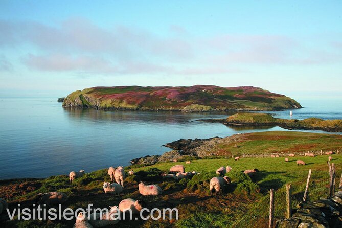 Viking Tour of the Isle of Man - Half Day - Private Tour - Guide Expertise
