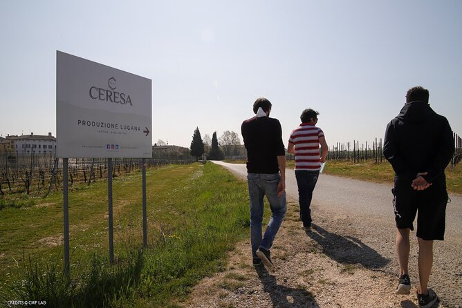 Vineyard Tour and Tasting of Lugana Wines - Cancellation Policy Explained