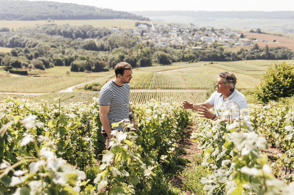 Vineyard Tour and Tasting With Champagne Ludovic David - Sum Up