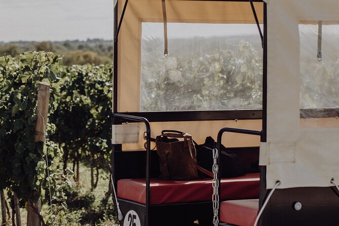 Vineyard Tour and Wine Tasting in Davron - Accessibility Considerations
