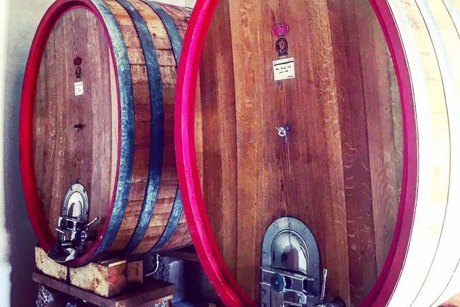 Vineyard Visit in Gyropode, Visit of Cave & Tasting Wines of Bandol - Meeting Point and Transportation