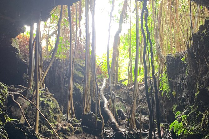 VIP Private Full-Day Road to Hana Tour From Lahaina-Kapalua - Inclusions and Amenities