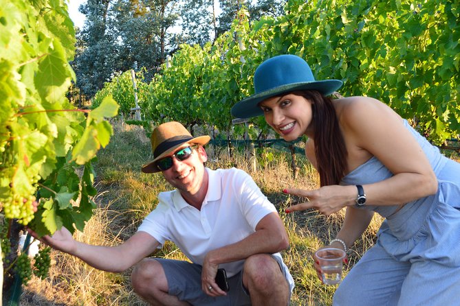 Visit 2 Wineries in a Day - Transportation and Logistics