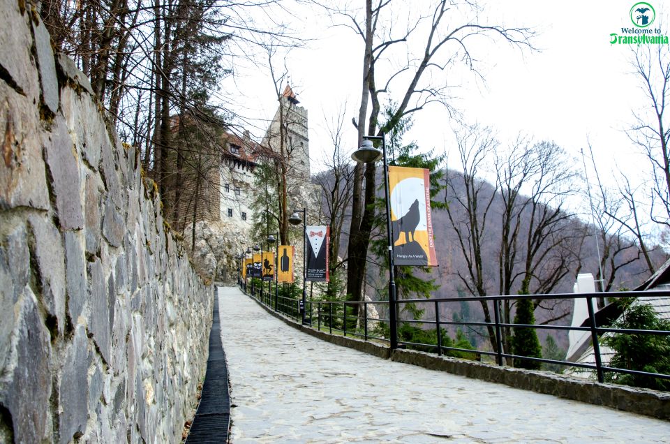 Visit Bear Sanctuary and Bran Castle From Brasov - Exploring Bran Castle