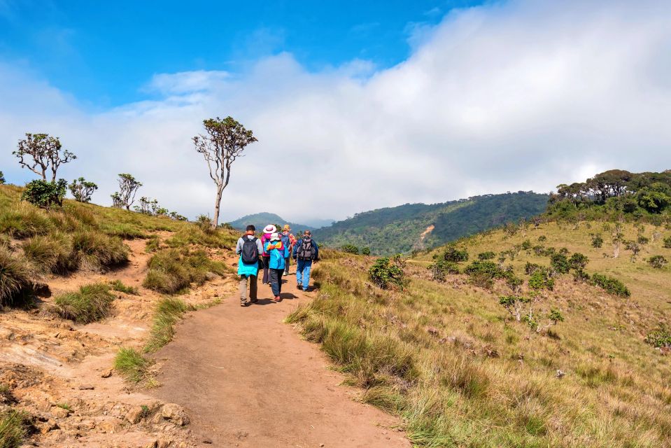 Visit Horton Plains and Nuwara Eliya From Ella - Inclusions and Exclusions