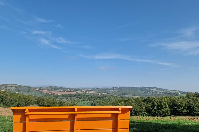 Visit to an Organic Farm and Tasting of Natural Wines - Tasting Experience