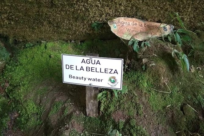 Visit to La Chorrera Natural Park Private Tour From Bogotá. (8 Hrs.) - Unique Plant Life