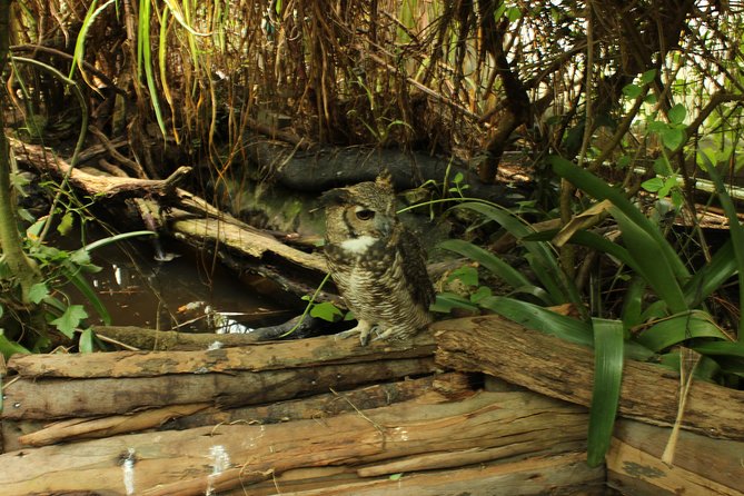 Visit to La Reserva BioPark Private Tour (6 Hrs.) - Pricing and Cancellation Policy