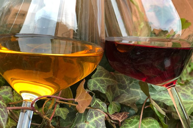 Visit to the Museum and Tasting of the Ancient Roman Wine - Logistics and Itinerary