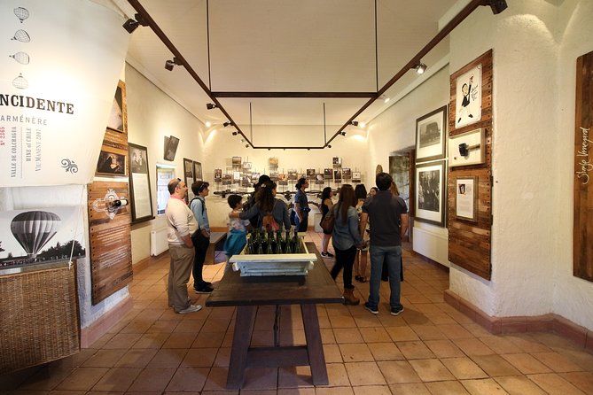 Viu Manent and Montes Alpha, Colchagua Valley From Santiago - Wine Tasting Offerings