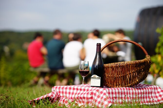 Vouvray and Chinon Wine Tour Review - Meeting Point and Guide