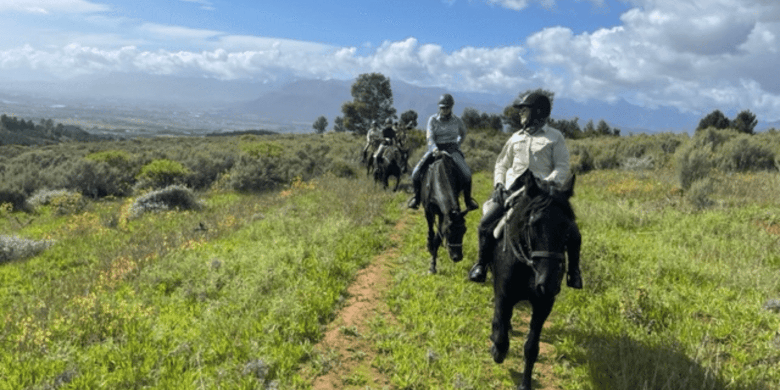 Vrede En Lust Wine Estate: 1H Breakfast Horse Trail - Highlights of the Trail