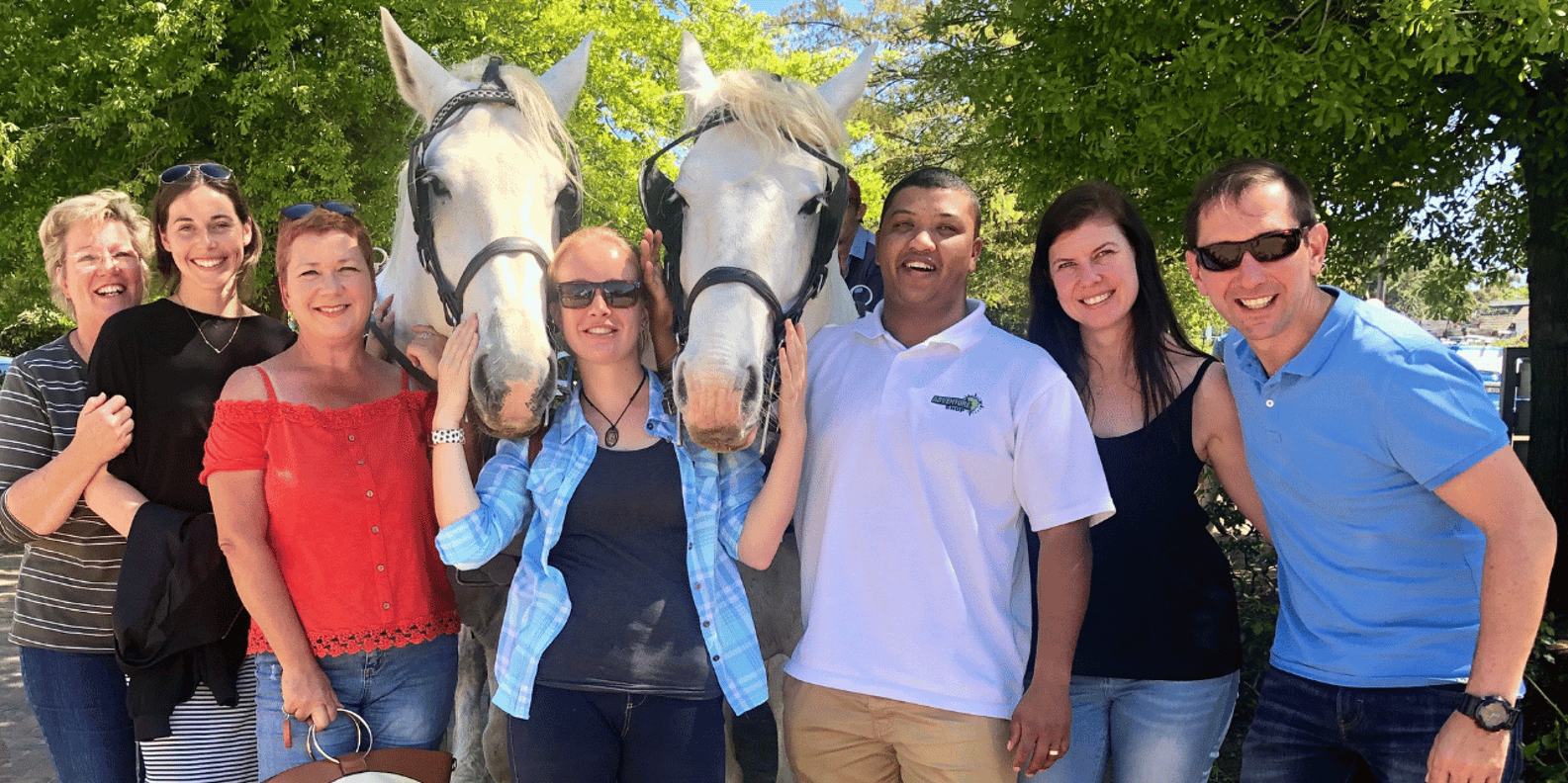 Vrede En Lust Wine Estate: 30M Carriage Ride - Highlights of the Experience