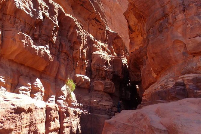 Wadi Rum: Camel Trek Adventure - Exploring the Desert