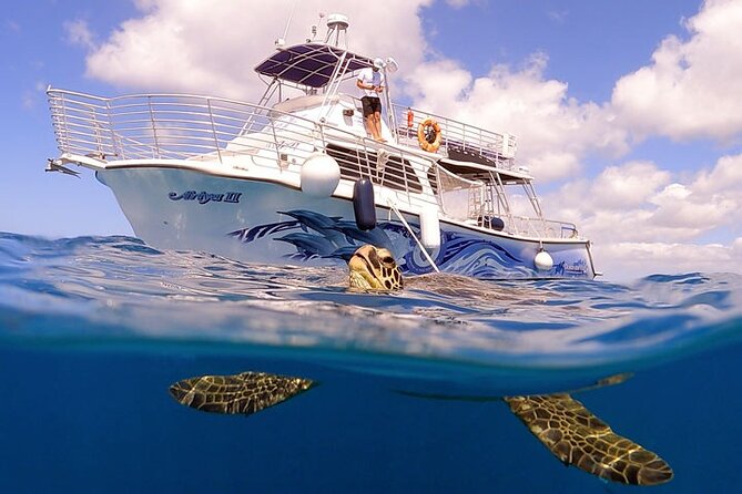 Waikiki Turtle Canyon Snorkeling With Lunch and Hula Show - Logistics and Transportation Details