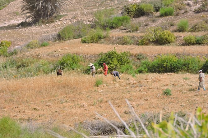 Walk Between Argan Forest, Ocean & Waterfalls. 12 Km - Inclusions and Amenities