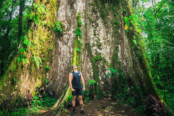 Walk in Río Celeste in Tenorio Volcano National Park - Exploring Rio Celeste