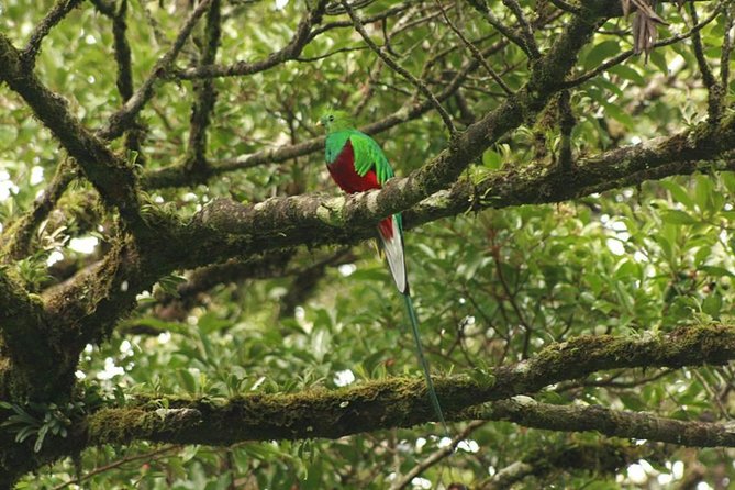 Walking Reserve Curi-Cancha - Guided Tour Experience