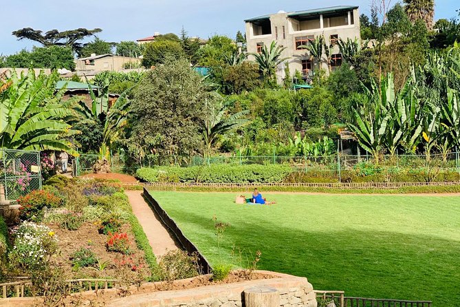 Walking Tour of Addis Abeba - Discover Addis the Authentic Way - Visiting the National Museum