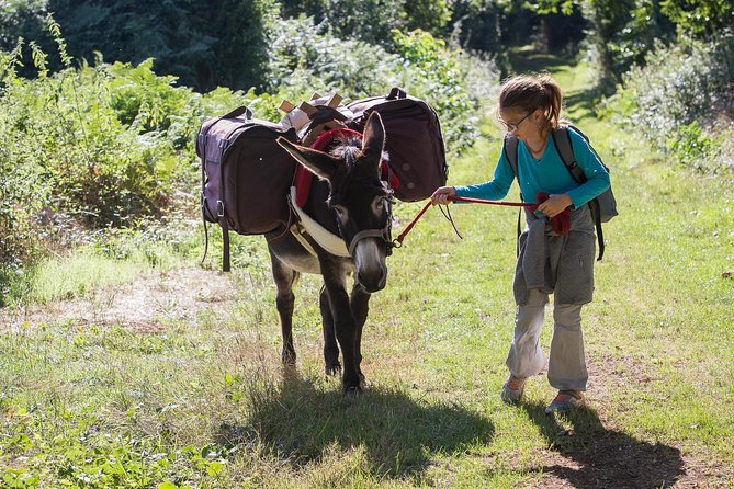 Walks and Hikes With Donkeys - Reviews and Ratings