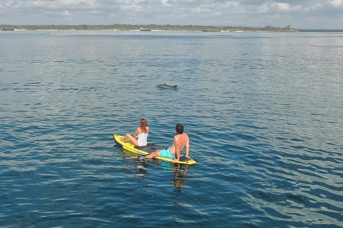 Watamu Marine Park & Sudi Island Mangrove Forest Canoe Ride.With Sea Food Lunch - Meeting and Pickup