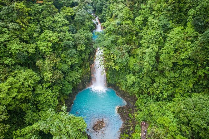 Waterfall, Sloth Expedition, Frogs Blue River Also in Costa Rica and Nicaragua - Customer Reviews and Feedback