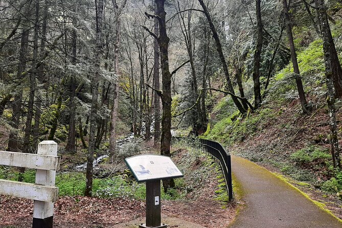 Waterfalls, Wine, and Timberline Tour - Accessibility Information