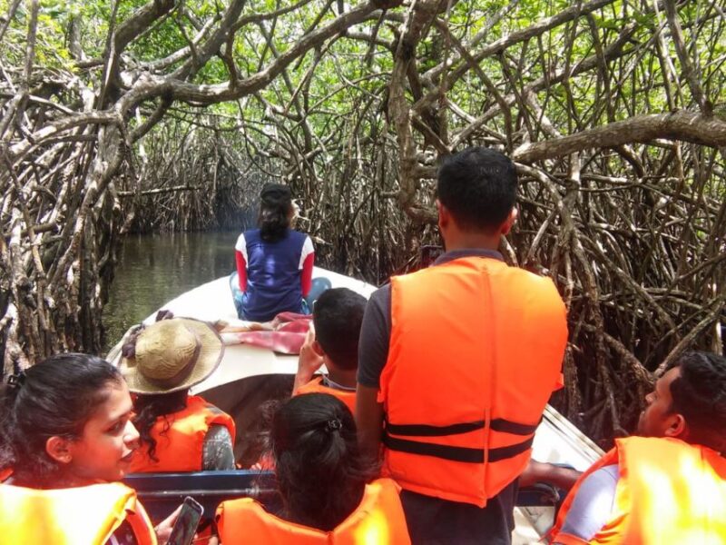 West Coast Beach, River Mangroves Lagoon, Wildlife Boat Tour - Pickup Location and Stops