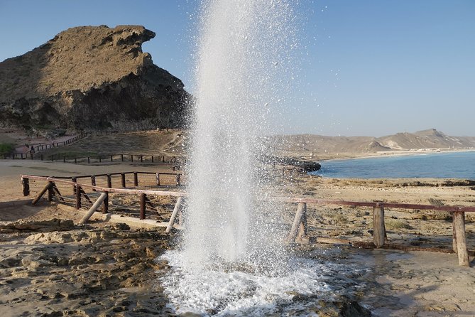 West Coast Mountains and Beaches (Fazayah Beach + Shaat Cliff) - Wildlife Spotting Opportunities