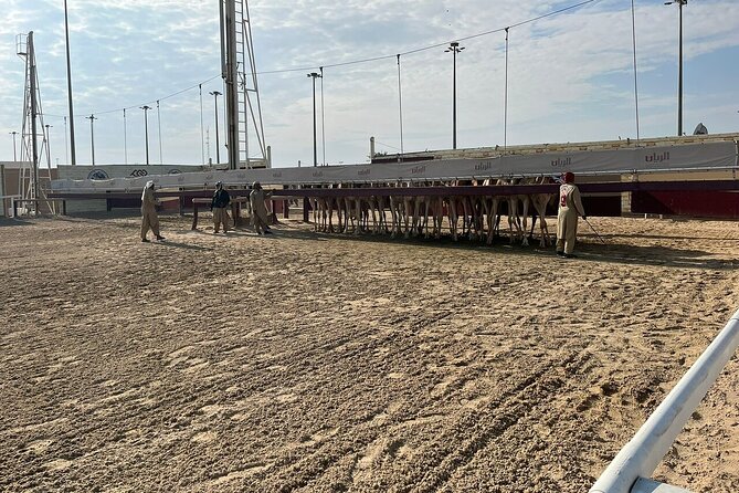 West Of Qatar, Mushroom Rocks, Camel Racing Track, Richard Serra - Encountering Richard Serras Artwork
