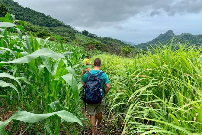 Wet & Wild: Tamanique Waterfalls + Craft Beer Sampling & Lunch - Craft Beer Sampling and Lunch