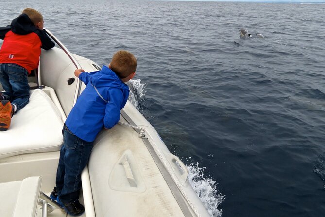 Whale and Dolphin Watching in San Diego - Accessibility and Health Considerations