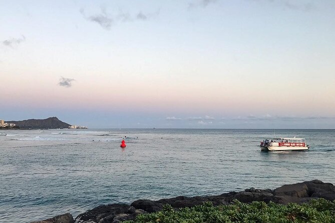 Whale Watch, Dolphins, Turtles and Sightseeing Cruise (Winter Only) - Meeting Point Details
