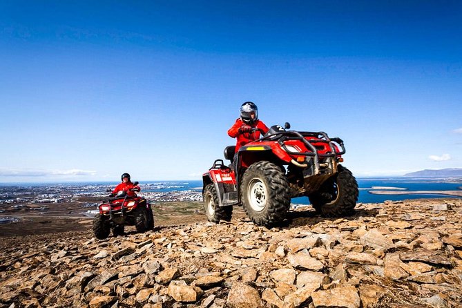 Whale Watching & ATV Adventure From Reykjavik - Reviews and Feedback