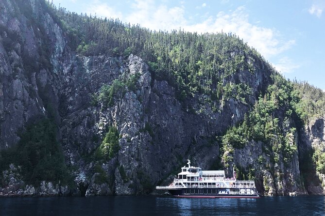 Whale Watching Cruise From Tadoussac or Baie-Ste-Catherine - Species Sightings in the Marine Park