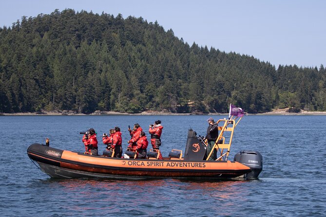 Whale Watching Tour in a Zodiac Boat in Victoria - Meeting Point and Logistics