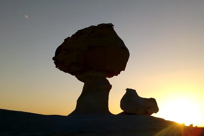 White Desert and Bahariya Oasis 2 Days With Camping Experience - Booking and Cancellation