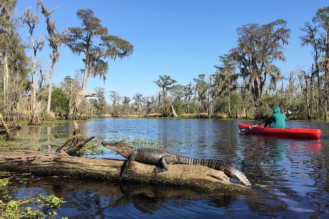 Whitney Plantation and Manchac Swamp Kayak Tour Combo - Tour Highlights and Inclusions