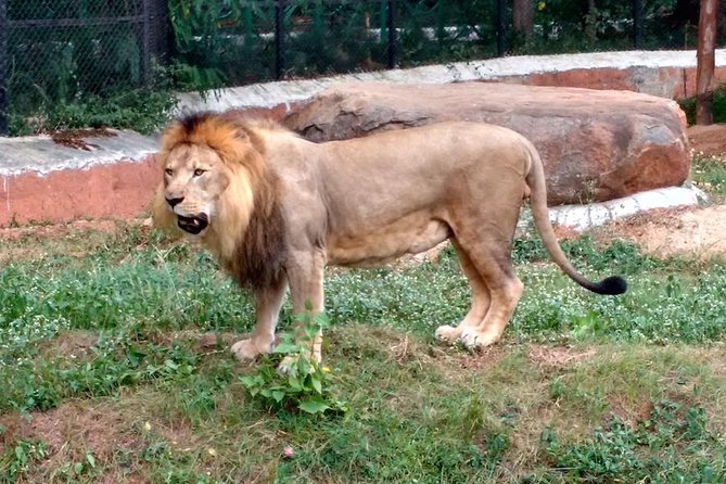 Wild Life Tour in Chennai With Guide and Private Car - Reviews From Previous Tourists